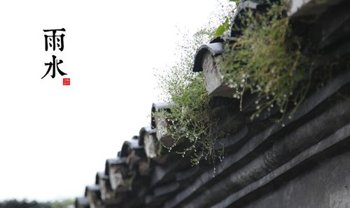 2017.2.15 雨水节气到，切勿早脱衣